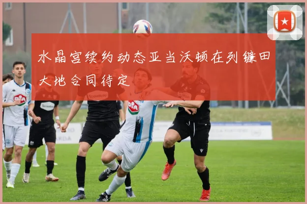 水晶宫续约动态亚当沃顿在列镰田大地合同待定