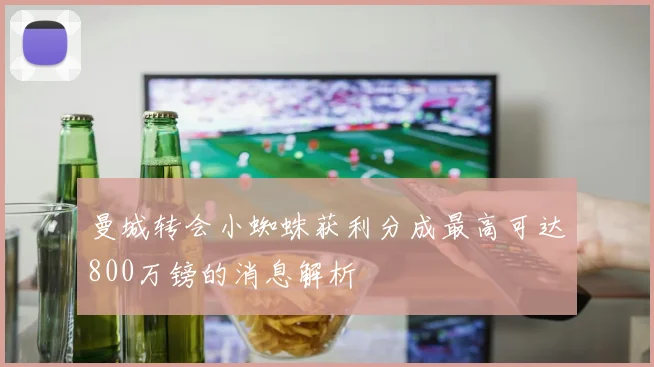曼城转会小蜘蛛获利分成最高可达800万镑的消息解析